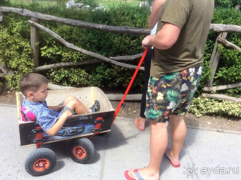 или на тележке...))