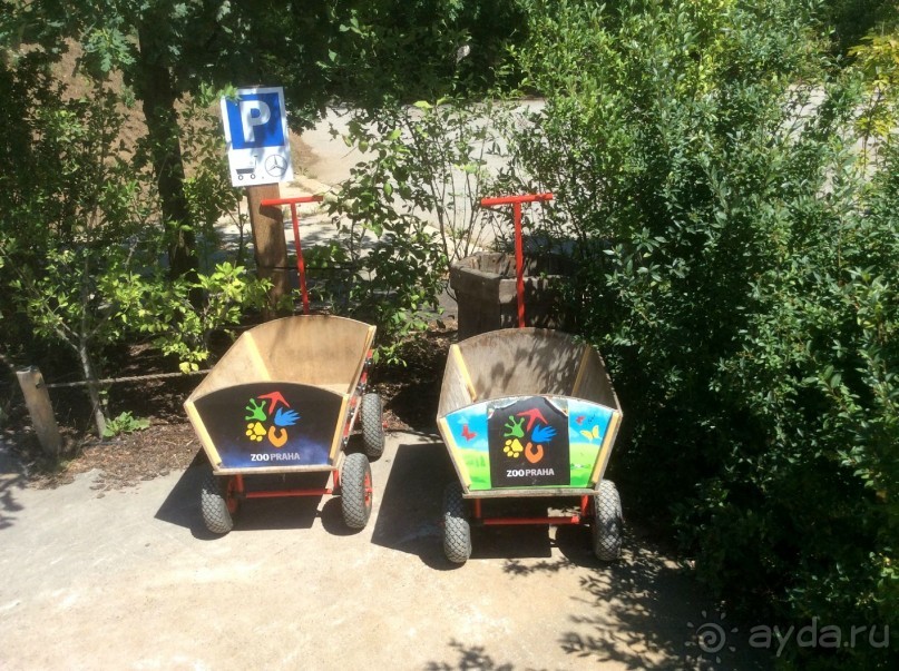 Бесплатная парковка..), как и впрочем все туалеты на территории зоопарка )