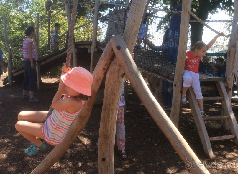 В Пражском зоопарке детям можно все )