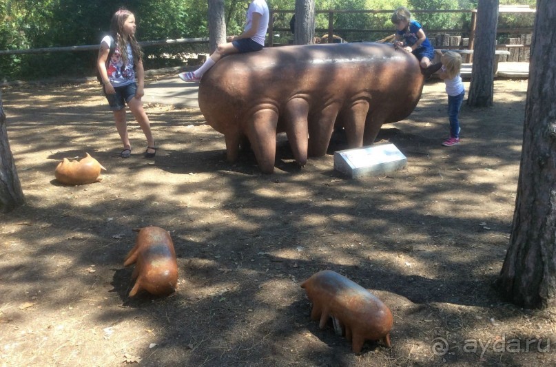 В Пражском зоопарке детям можно все )