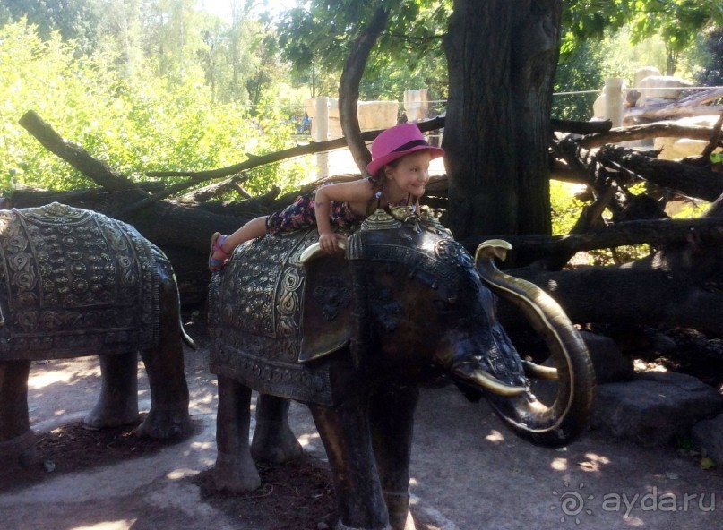 Покататься можно и на слоне...