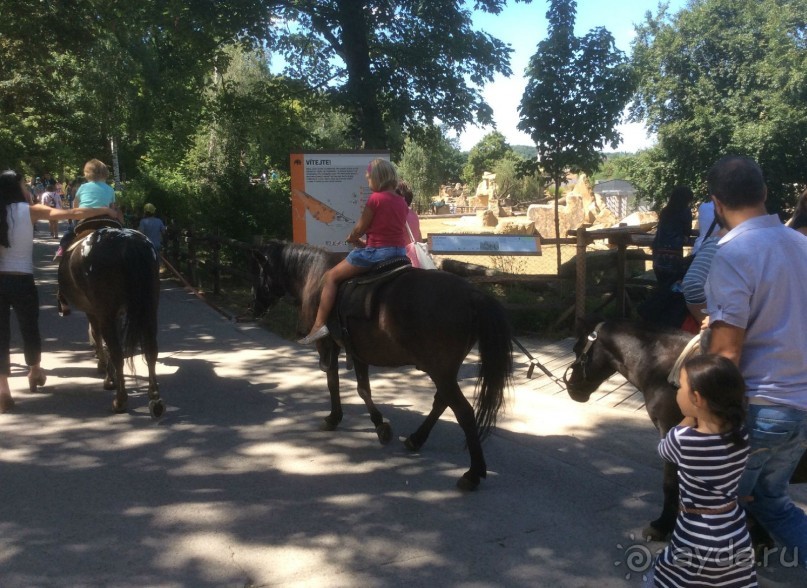 В Пражском зоопарке детям можно все )