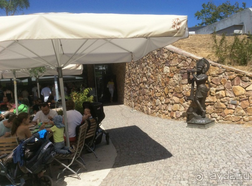 В Пражском зоопарке детям можно все )