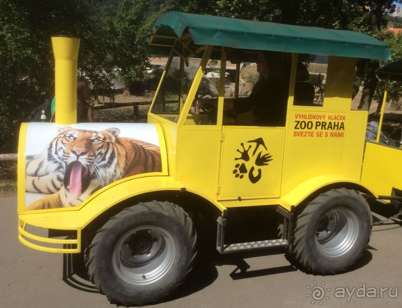 По зоопарку можно перемещаться на паровозике...
