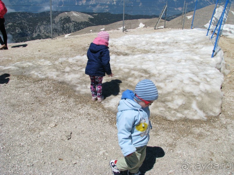 Альбом отзыва "Автобус на веревочке"