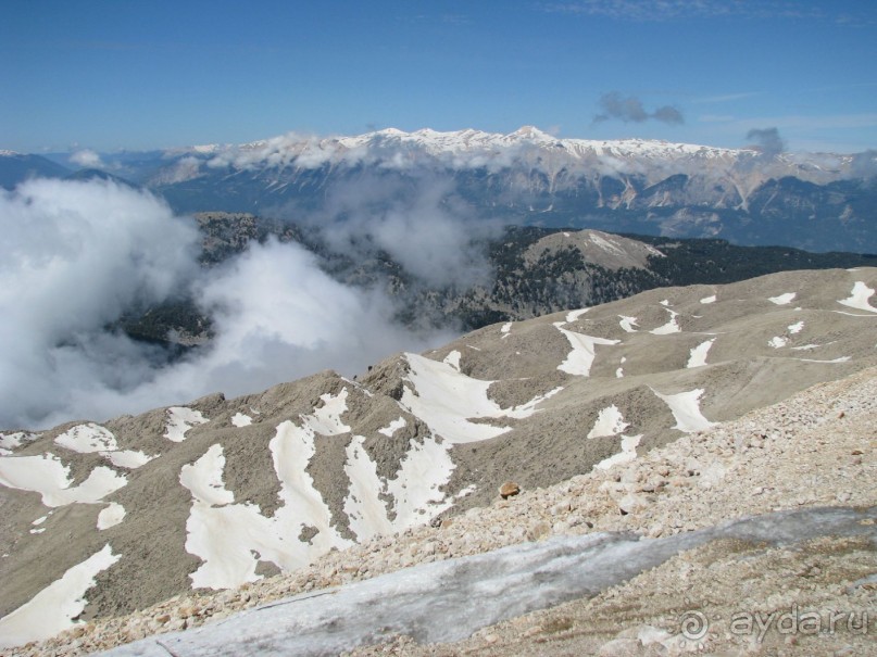 Альбом отзыва "Автобус на веревочке"