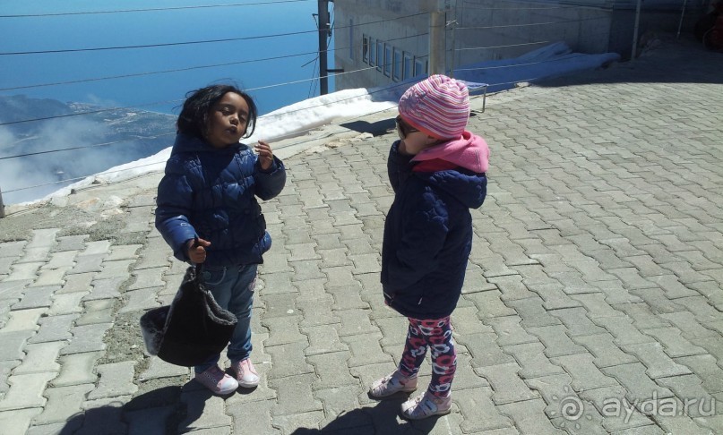 И ведь понимают друг друга )))