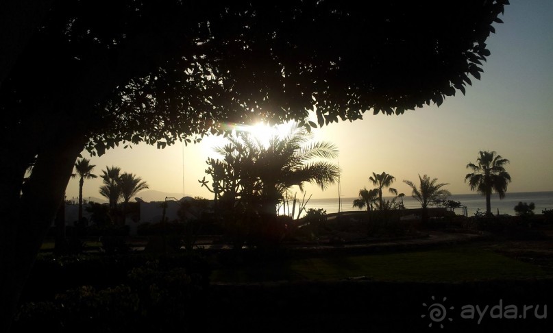 Вид из номера