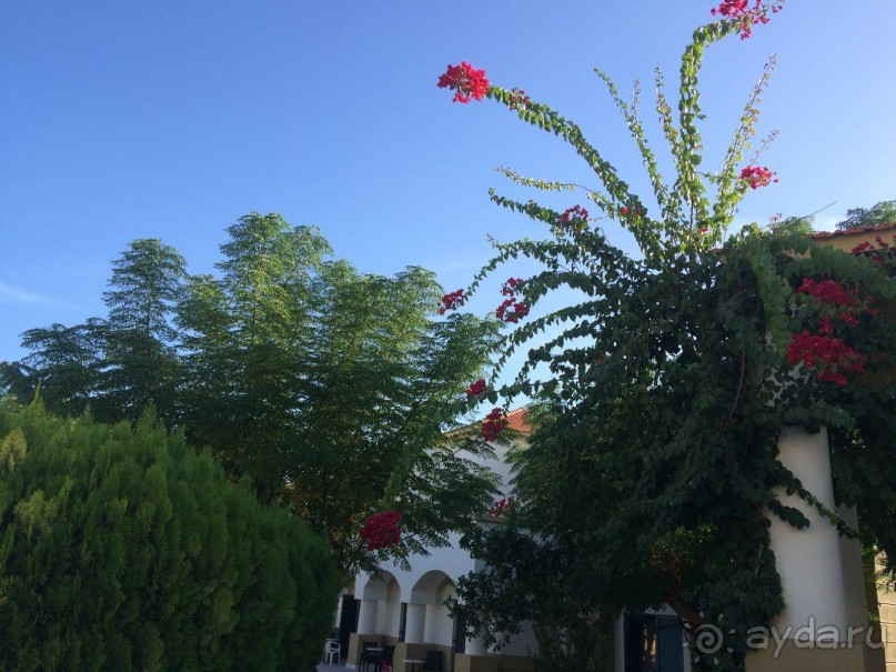 на территории