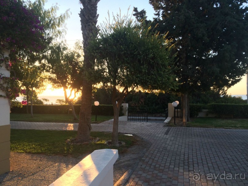 на территории