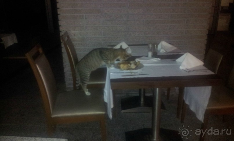 Рекомендую, но не в высокий сезон