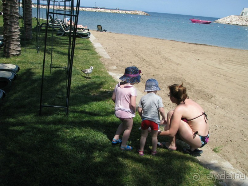 Рекомендую, но не в высокий сезон