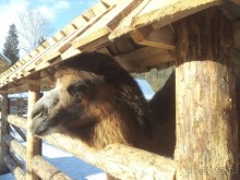 фото Гелиопарк Кантри