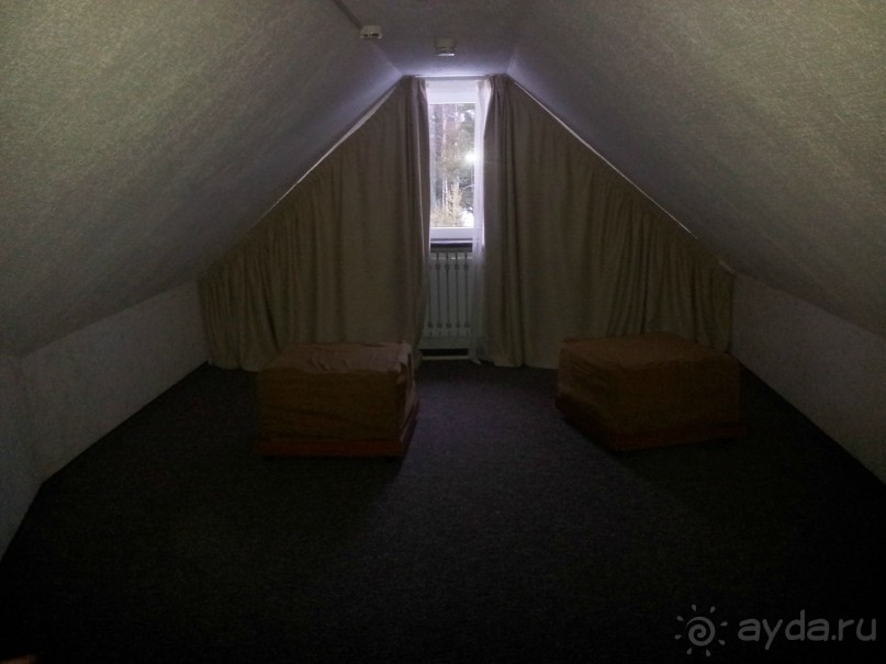 "Аппендикс" до оккупации детьми