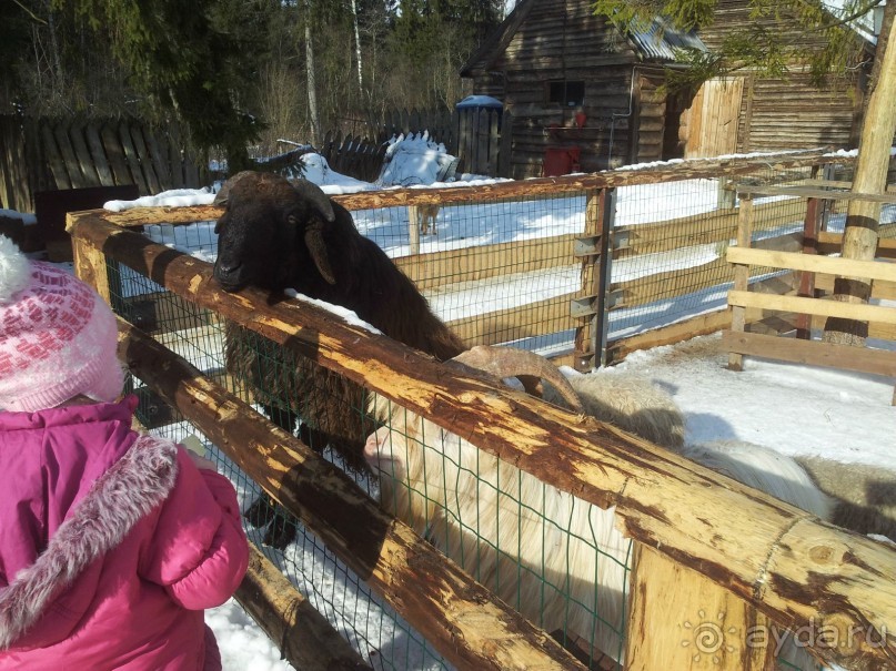 Нет Египта - давай Подмосковье)))