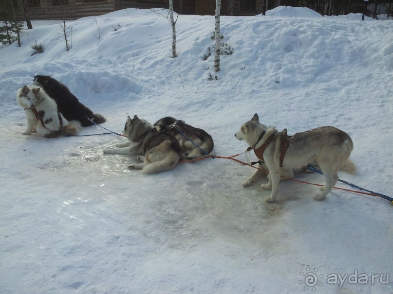 Нет Египта - давай Подмосковье)))