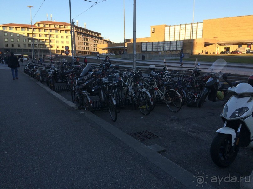 Башенный забег в канун Нового года. (Пиза, Флоренция, Лукка)