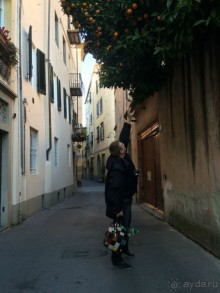 Башенный забег в канун Нового года. (Пиза, Флоренция, Лукка)