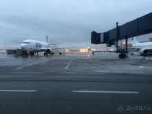 Башенный забег в канун Нового года. (Пиза, Флоренция, Лукка)