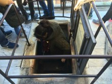 Башенный забег в канун Нового года. (Пиза, Флоренция, Лукка)