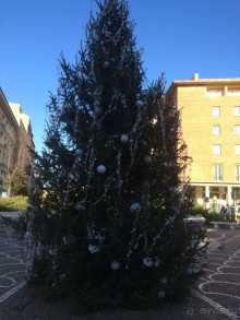 Башенный забег в канун Нового года. (Пиза, Флоренция, Лукка)