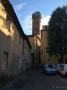 Башенный забег в канун Нового года. (Пиза, Флоренция, Лукка)