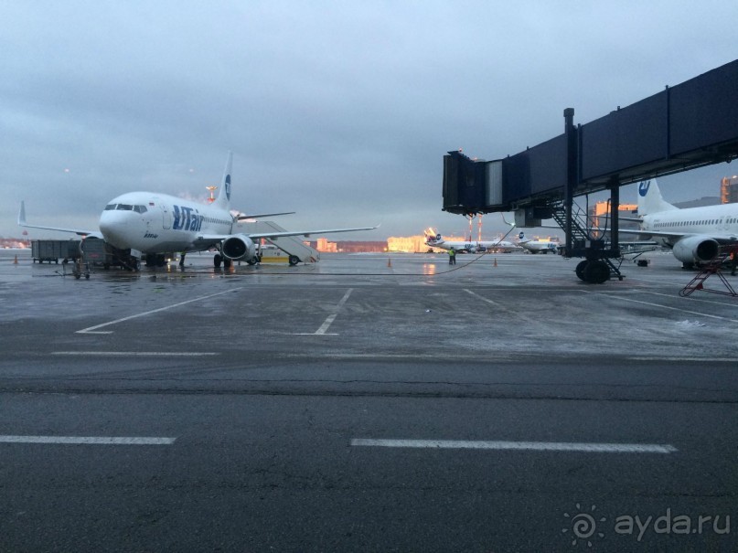 Башенный забег в канун Нового года. (Пиза, Флоренция, Лукка)