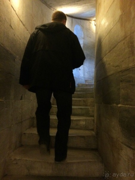 Башенный забег в канун Нового года. (Пиза, Флоренция, Лукка)