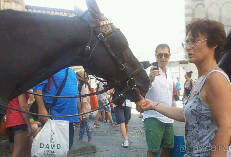 Башенный забег в канун Нового года. (Пиза, Флоренция, Лукка)