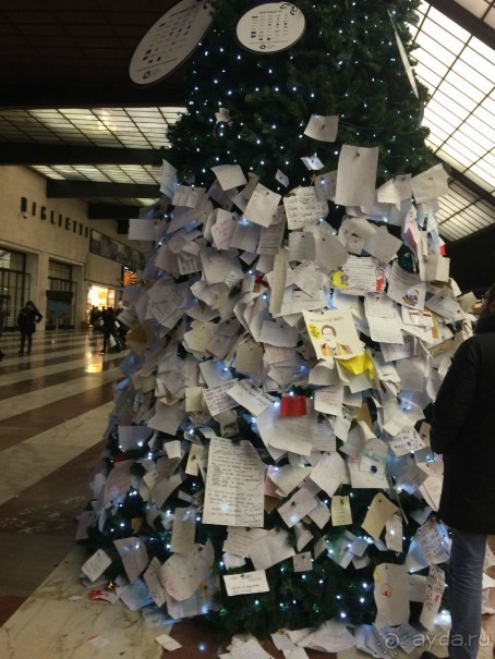 Башенный забег в канун Нового года. (Пиза, Флоренция, Лукка)
