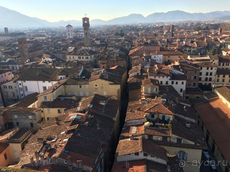 Башенный забег в канун Нового года. (Пиза, Флоренция, Лукка)