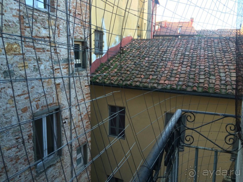 Вид из номера