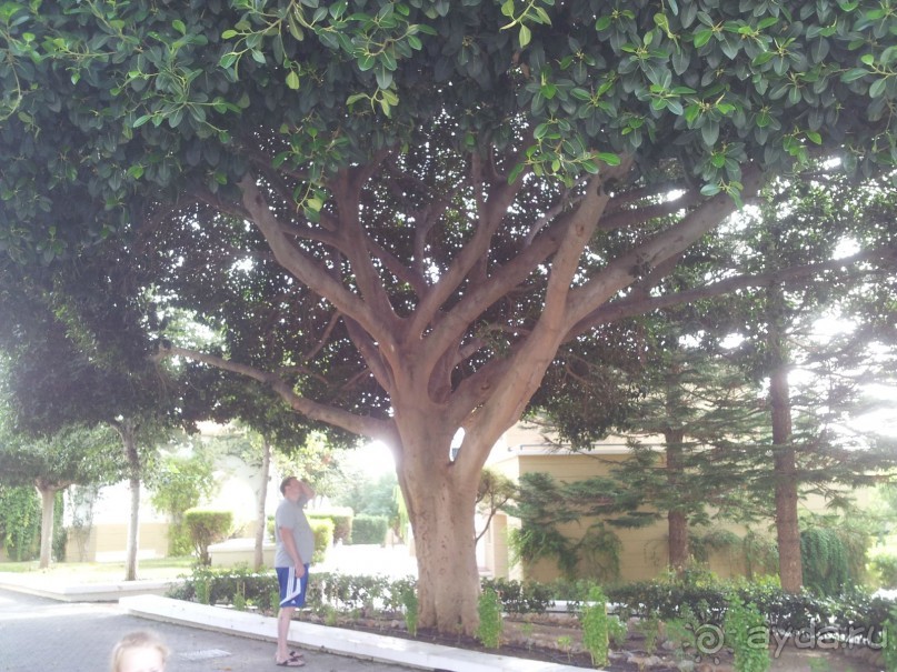 Отличный отель за небольшие деньги