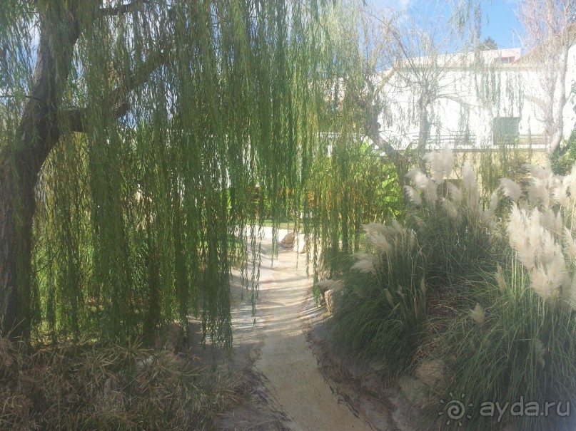 Отличный отель за небольшие деньги