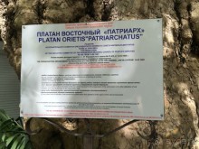Сочи. Пляжный курорт не в пляжный сезон