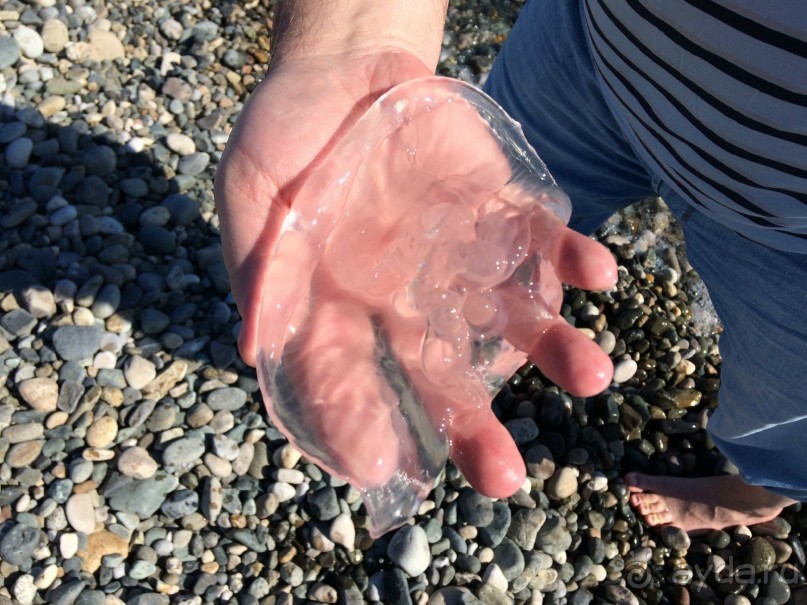 Сочи. Пляжный курорт не в пляжный сезон