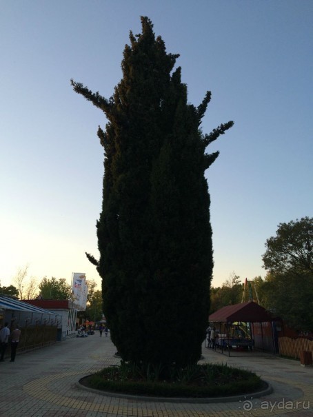 Сочи. Пляжный курорт не в пляжный сезон