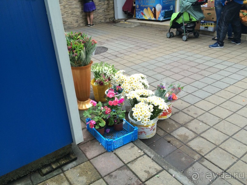 Сочи. Пляжный курорт не в пляжный сезон