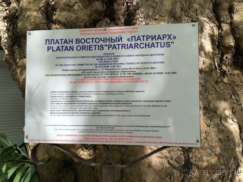 Сочи. Пляжный курорт не в пляжный сезон