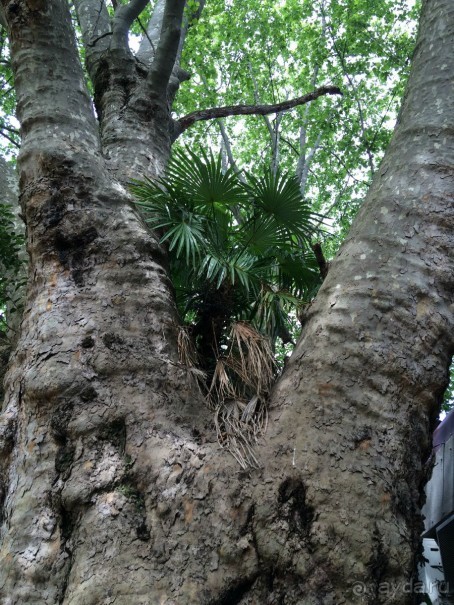 Сочи. Пляжный курорт не в пляжный сезон