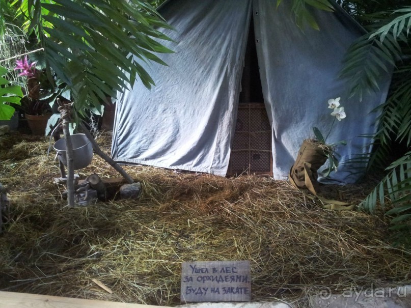 Телепортация  из зимней Москвы в тропики (Ботанический сад МГУ «Аптекарский огород»)