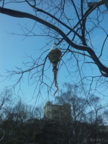 Телепортация  из зимней Москвы в тропики (Ботанический сад МГУ «Аптекарский огород»)