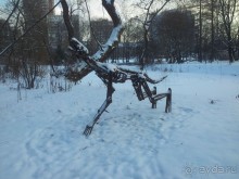 Телепортация  из зимней Москвы в тропики (Ботанический сад МГУ «Аптекарский огород»)