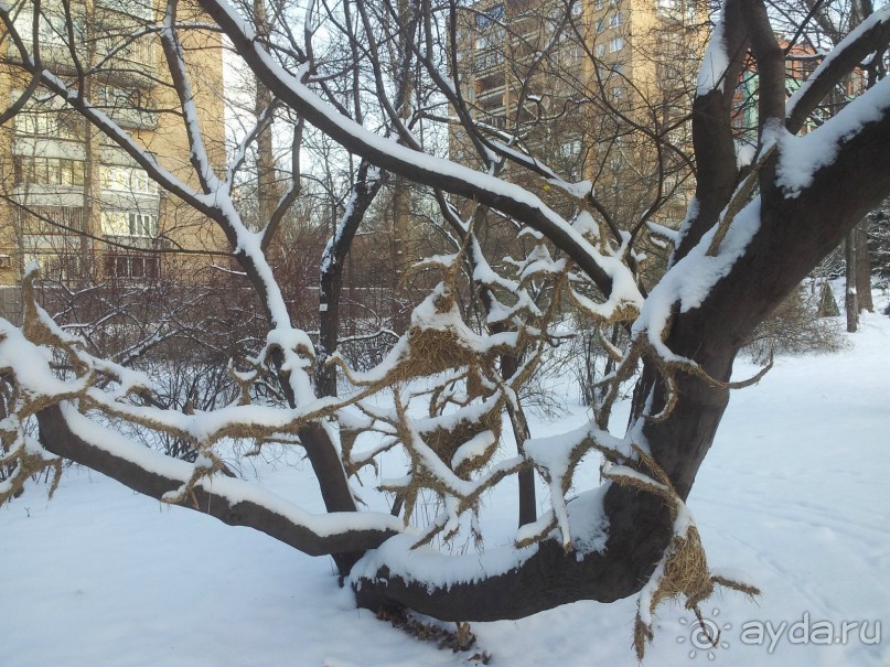 Телепортация  из зимней Москвы в тропики (Ботанический сад МГУ «Аптекарский огород»)