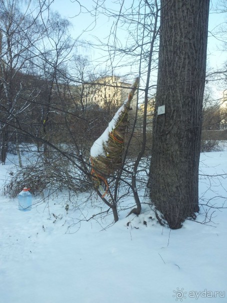 Телепортация  из зимней Москвы в тропики (Ботанический сад МГУ «Аптекарский огород»)