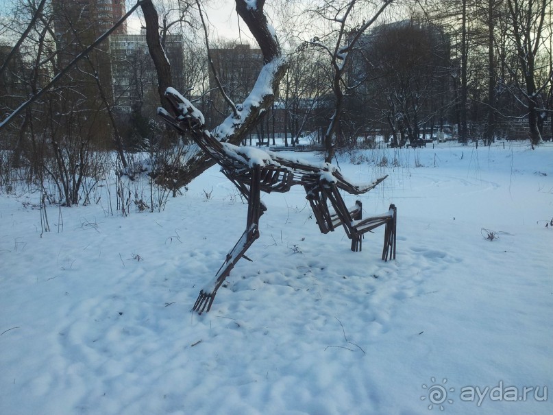 Телепортация  из зимней Москвы в тропики (Ботанический сад МГУ «Аптекарский огород»)