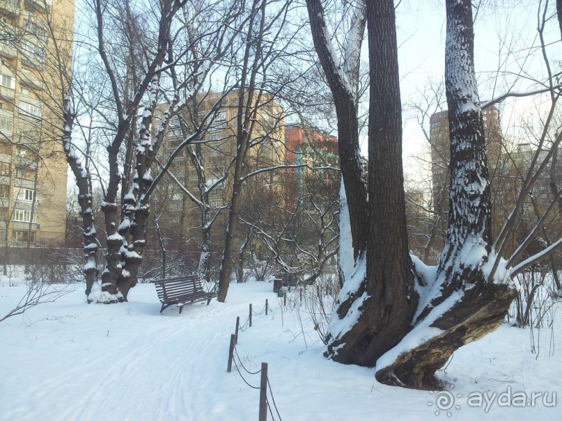 Телепортация  из зимней Москвы в тропики (Ботанический сад МГУ «Аптекарский огород»)