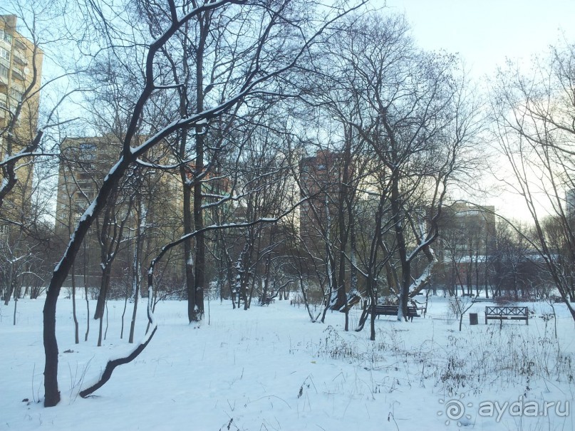 Телепортация  из зимней Москвы в тропики (Ботанический сад МГУ «Аптекарский огород»)