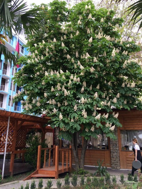 Отличная дислокация