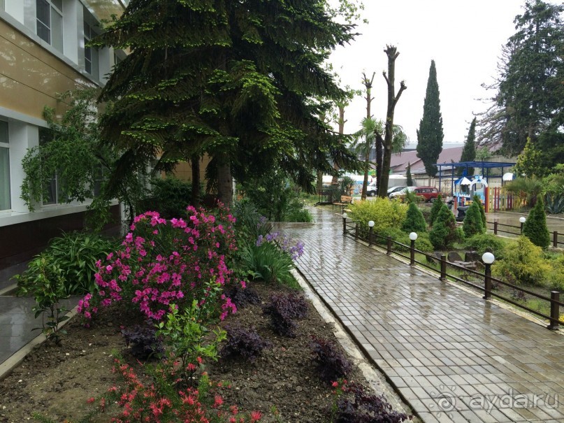 Имеется небольшая ухоженная территория с одной стороны от отеля, с другой – соседняя «Илиада»